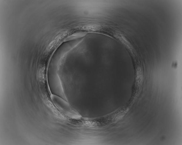 X0000116120585200912071348