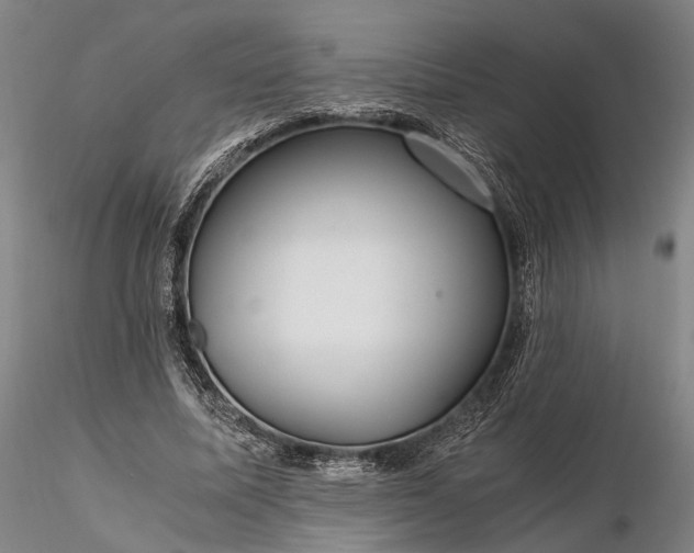 X0000116120587200912071348