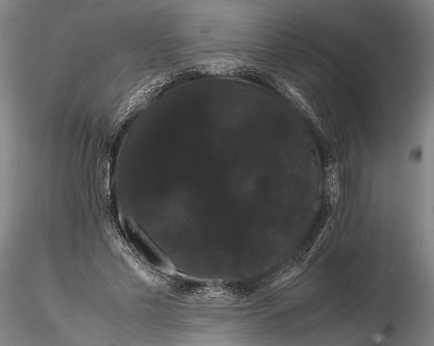 X0000116120589200912071348