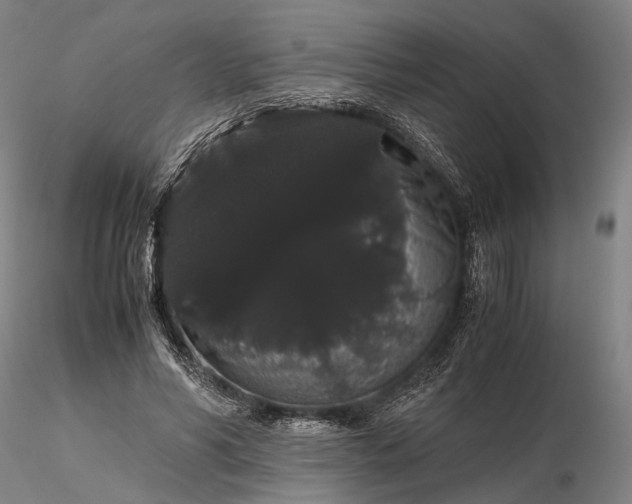 X0000116120590200912071348