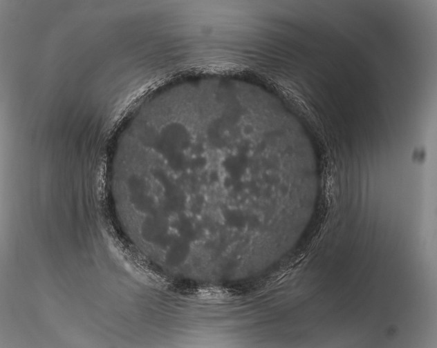 X0000116120591200912071348