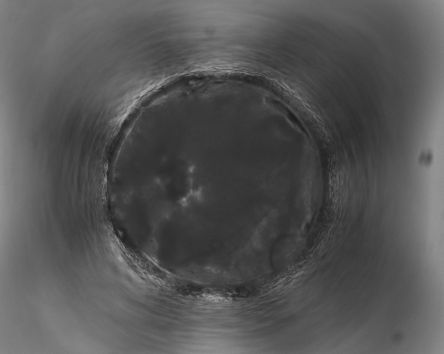 X0000116120592200912071348