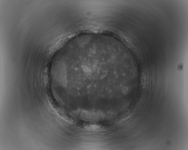 X0000116120594200912071348