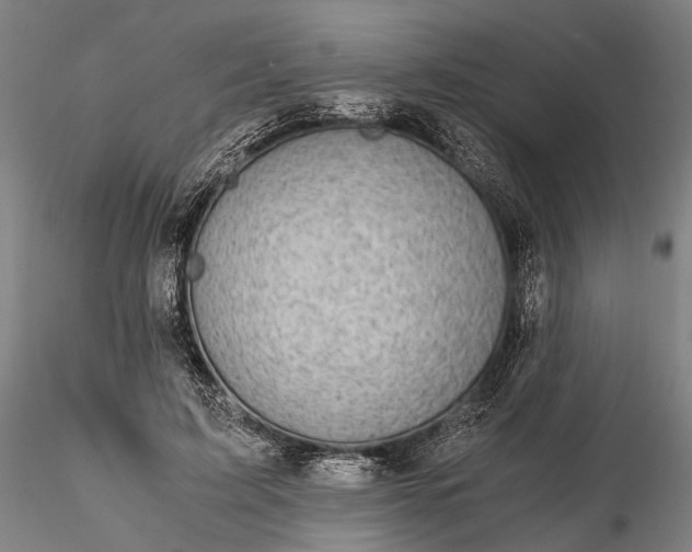 X0000116120595200912071348