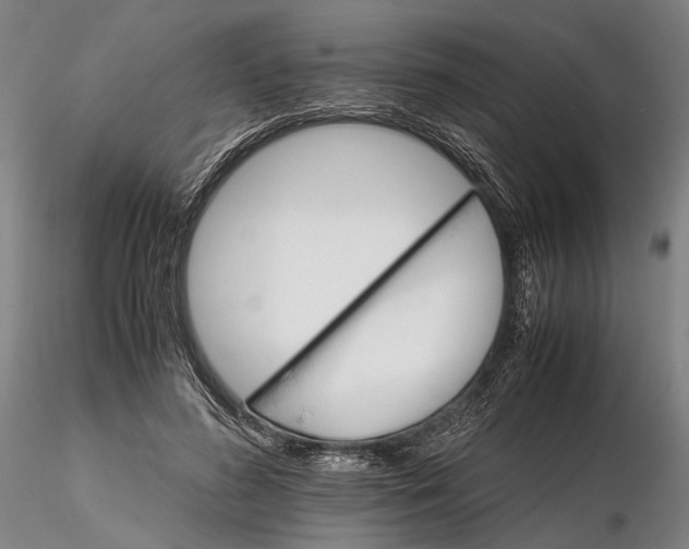 X0000116120596200912071348