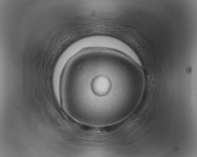 X0000116120597200912071348