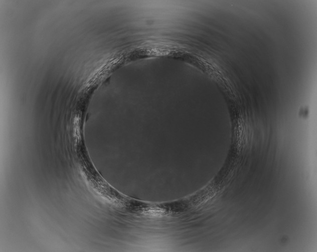 X0000116120598200912071348