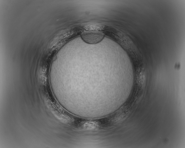 X0000116120599200912071348