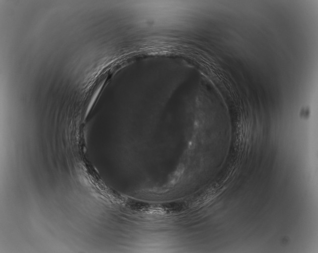 X0000116120600200912071348