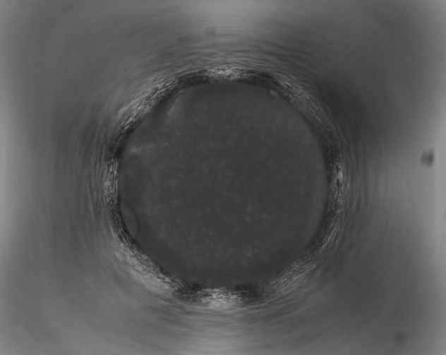 X0000116120601200912071347