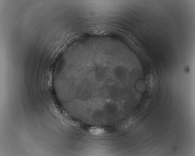 X0000116120602200912071347