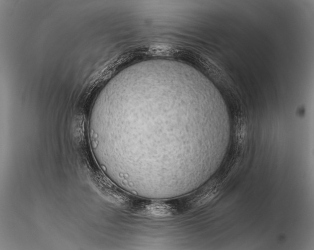 X0000116120603200912071347