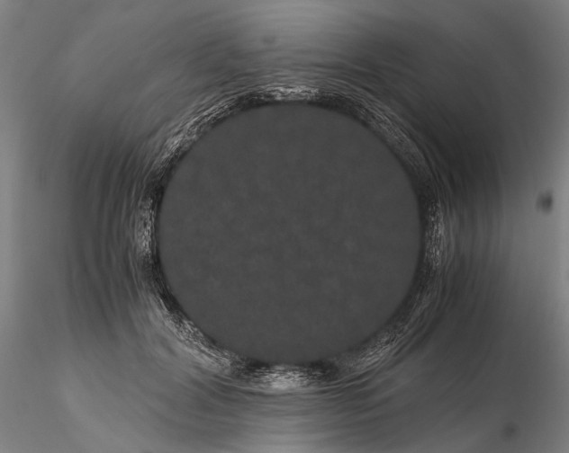 X0000116120604200912071347