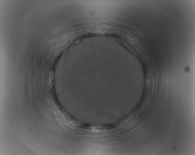 X0000116120605200912071347