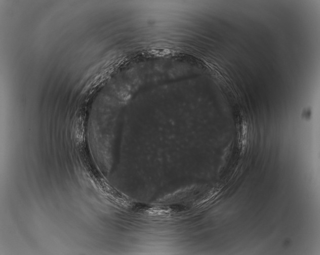 X0000116120606200912071347