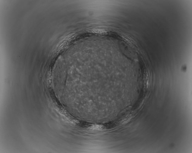 X0000116120609200912071347