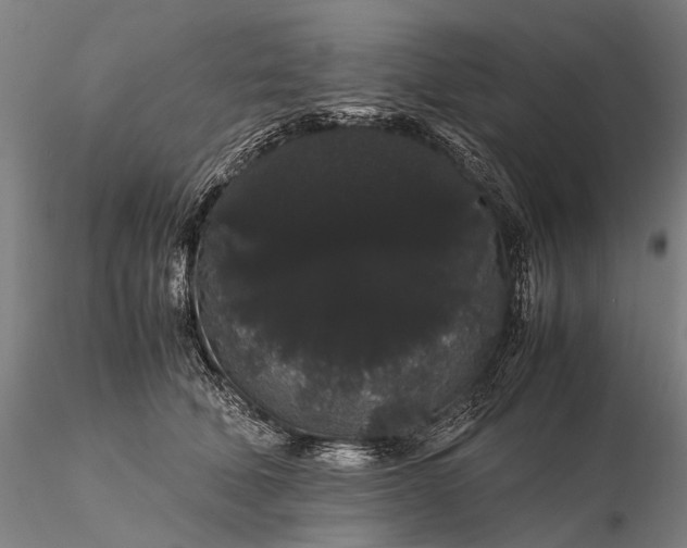 X0000116120610200912071347