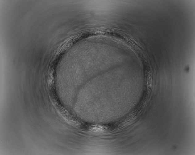 X0000116120611200912071347