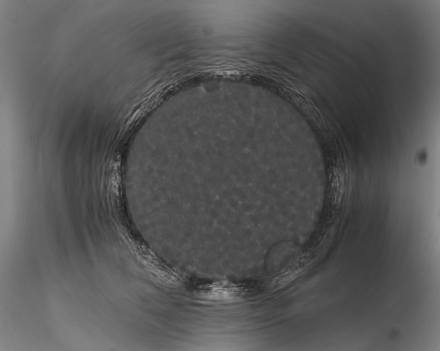 X0000116120612200912071347