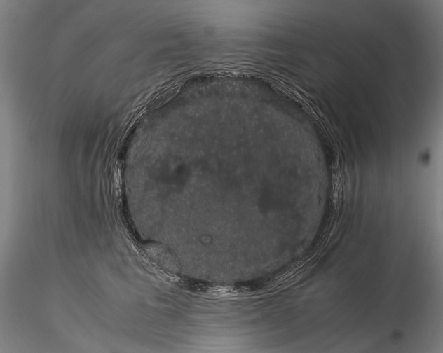 X0000116120613200912071347