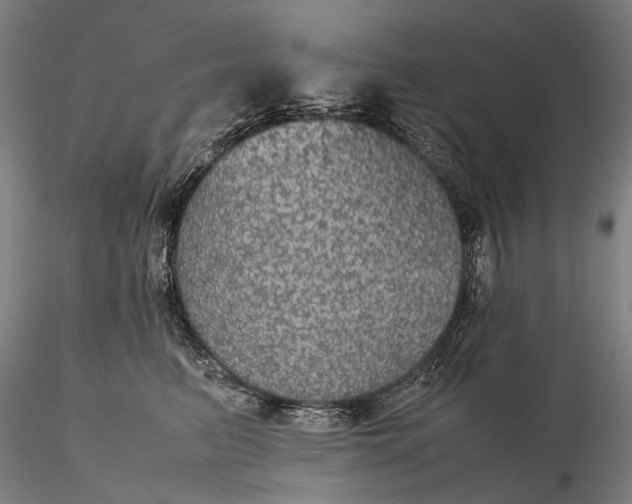 X0000116120615200912071347