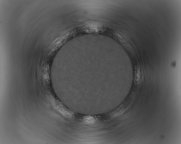 X0000116120616200912071347