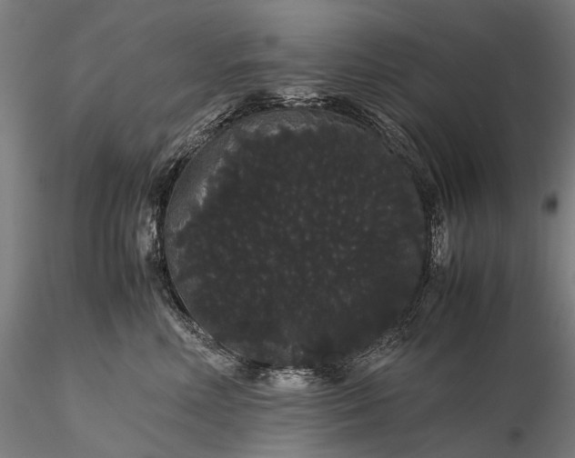 X0000116120618200912071347