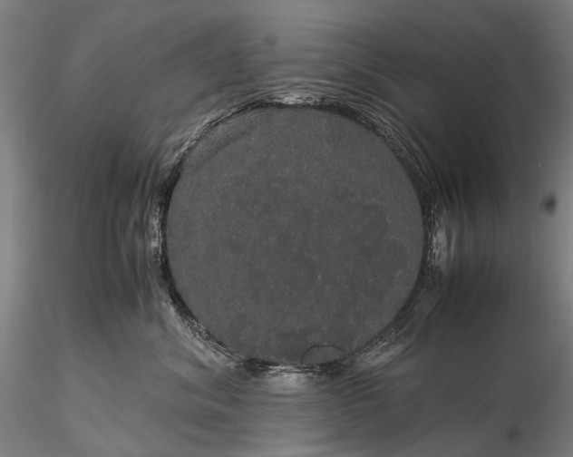 X0000116120620200912071347