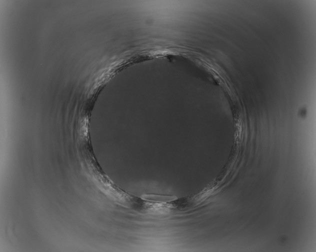 X0000116120621200912071347