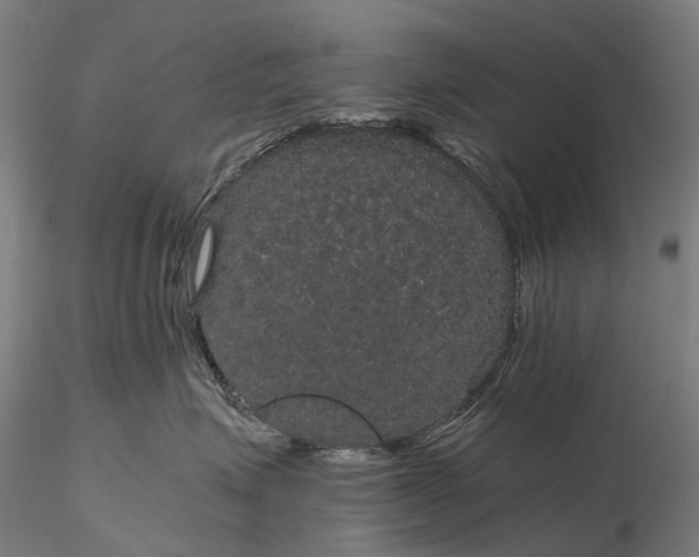 X0000116120623200912071347