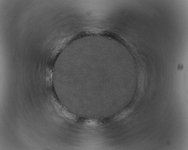 X0000116120624200912071347