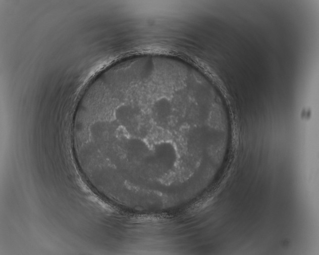 X0000116120625200912071347