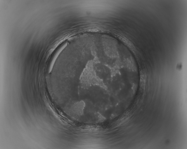 X0000116120626200912071347