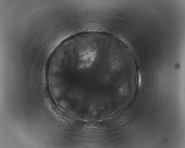 X0000116120627200912071347