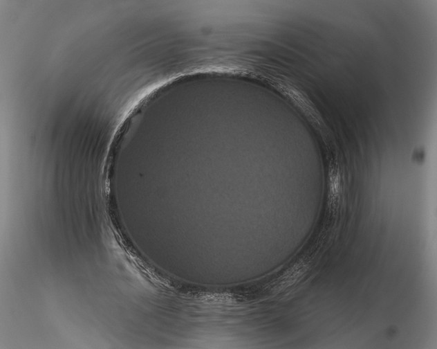 X0000116120628200912071347