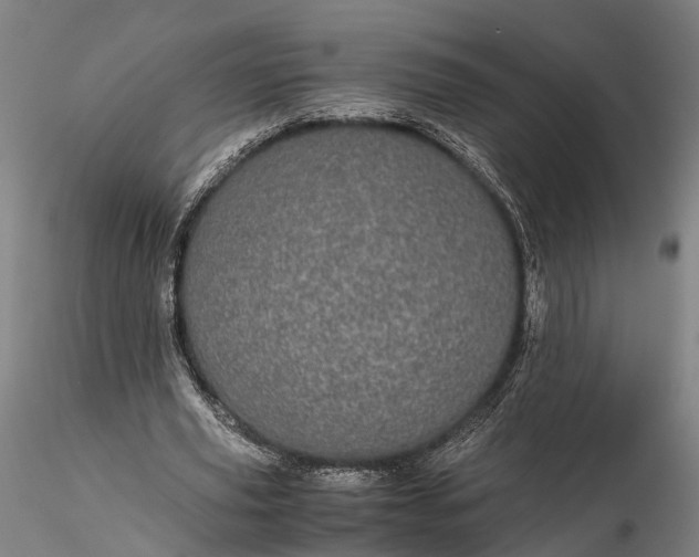 X0000116120629200912071347