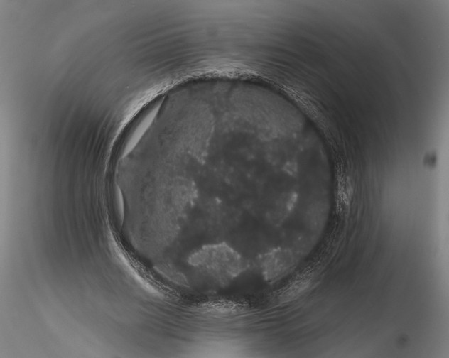 X0000116120630200912071347