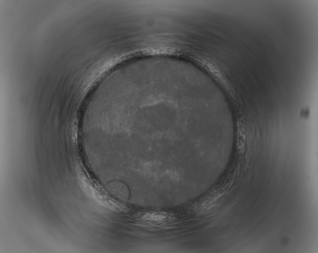 X0000116120631200912071347