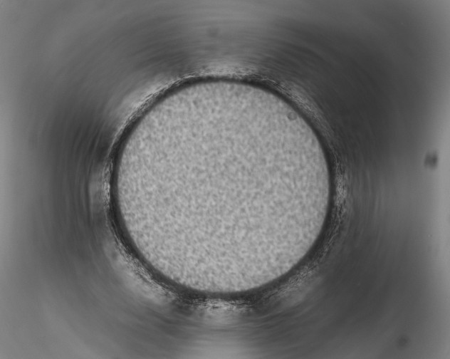 X0000116120632200912071347