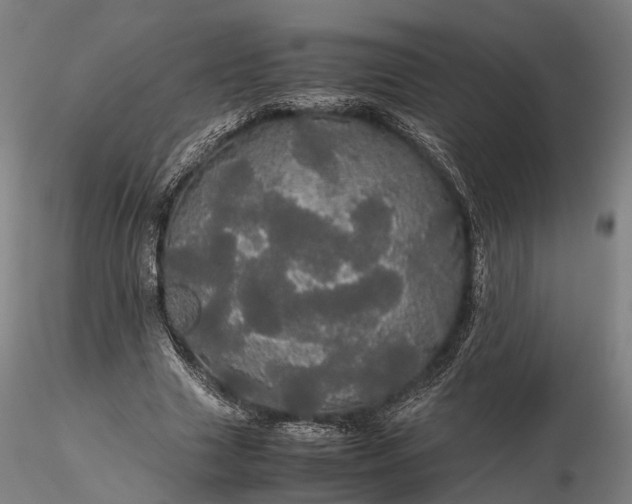 X0000116120633200912071347