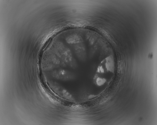 X0000116120634200912071347