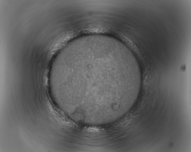 X0000116120635200912071347