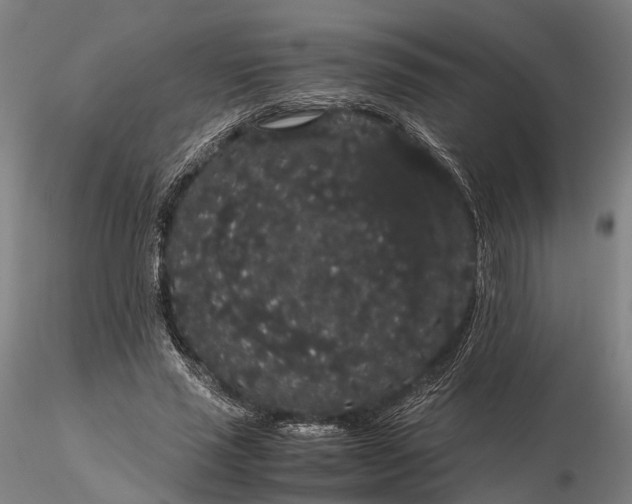 X0000116120637200912071347