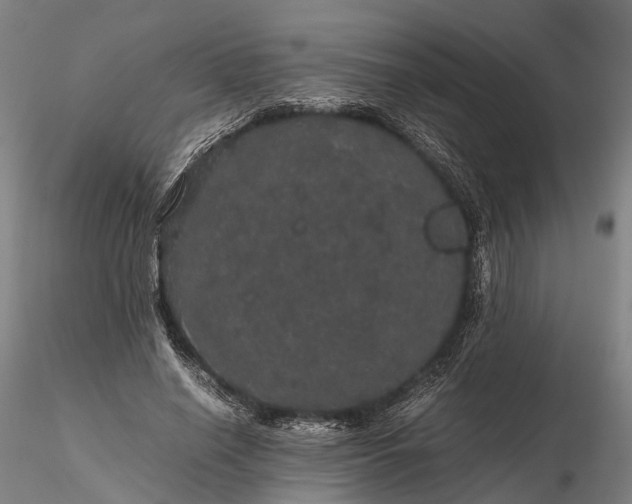 X0000116120638200912071347