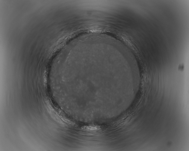 X0000116120639200912071347