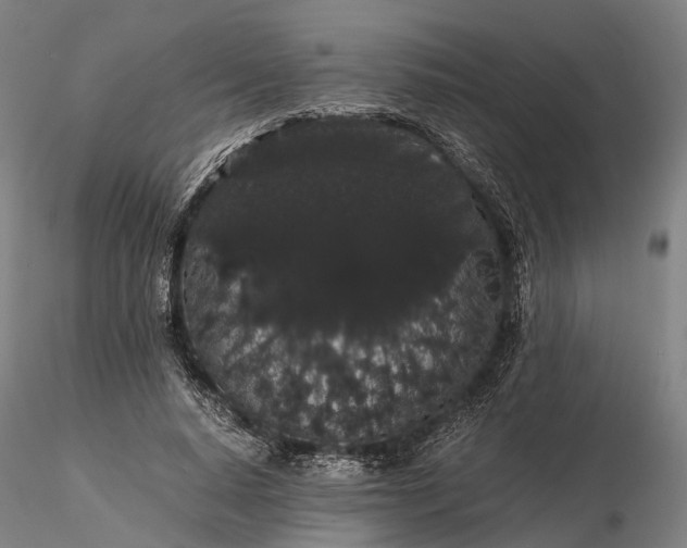 X0000116120640200912071347