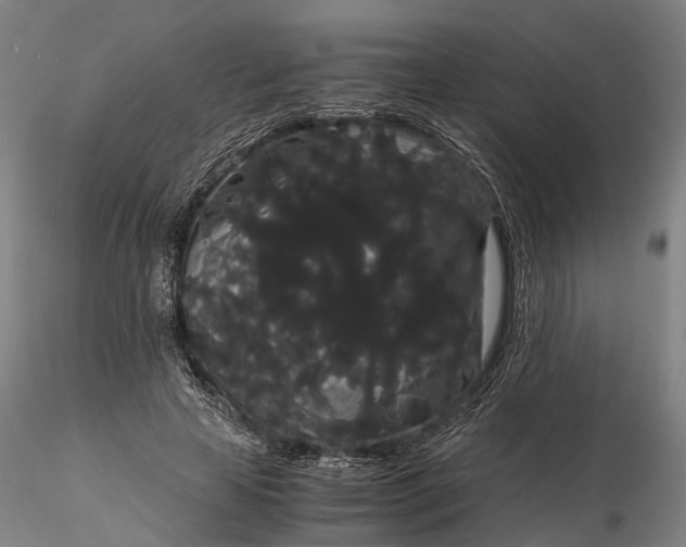 X0000116120641200912071347