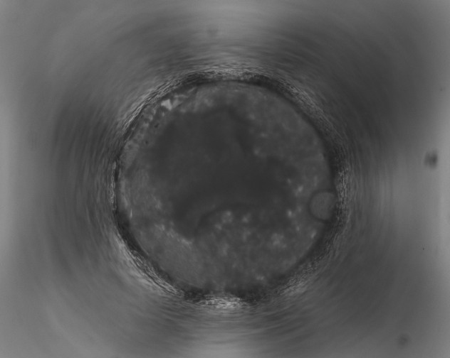 X0000116120642200912071347