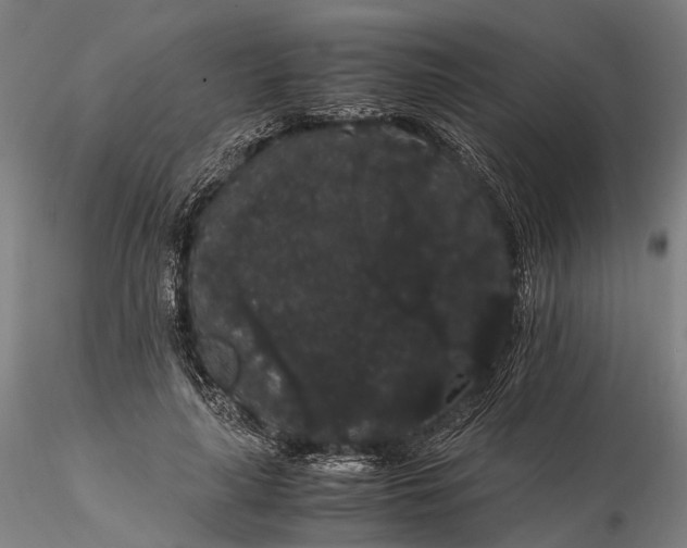 X0000116120643200912071347