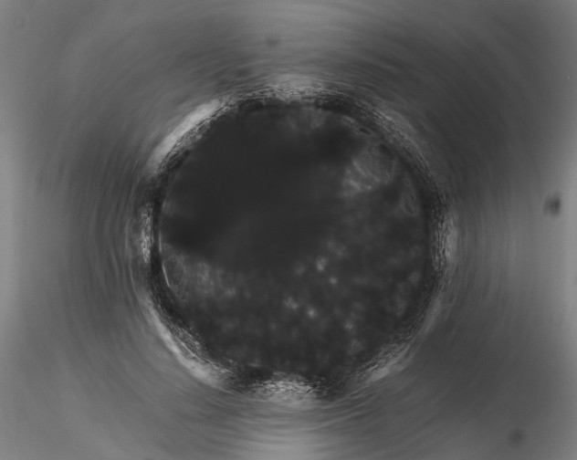 X0000116120644200912071347